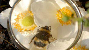 <span>AUDIENCE BIOLOGY</span>